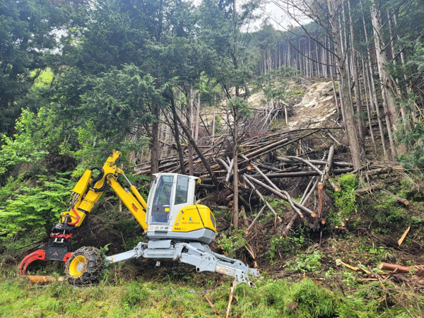 大雨で崩落した倒木の除去 - 株式会社カタギリテック